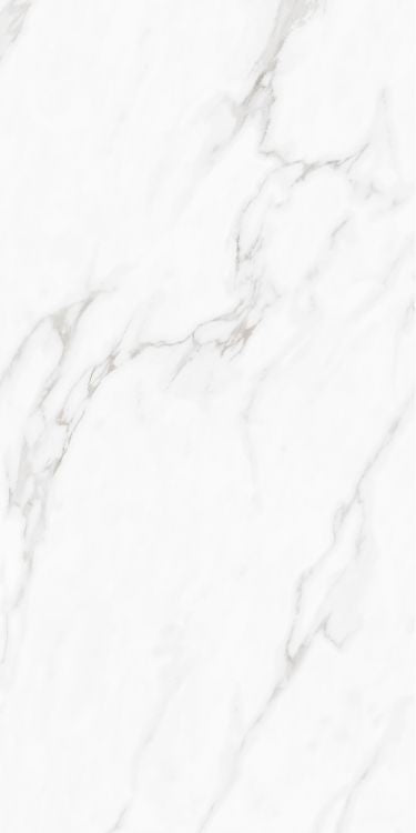 Carenza Bianca Polished 24 x 48