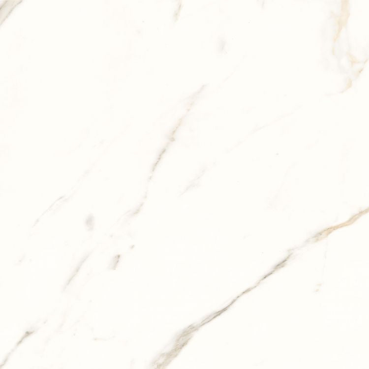 Trilogy Calacatta White Porcelain Tile 24 x 24 Soft