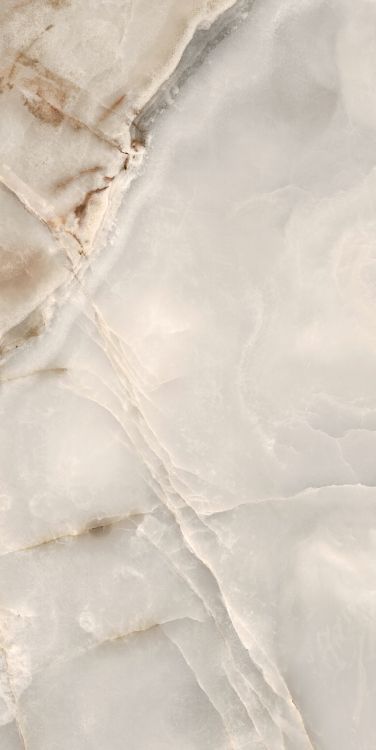 Reves Noisette Tile Matte 24 x 48