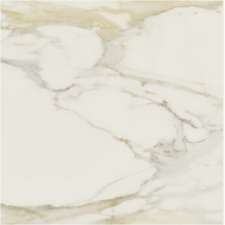 Classici Calacatta Gold Tile Glossy 48 x 48