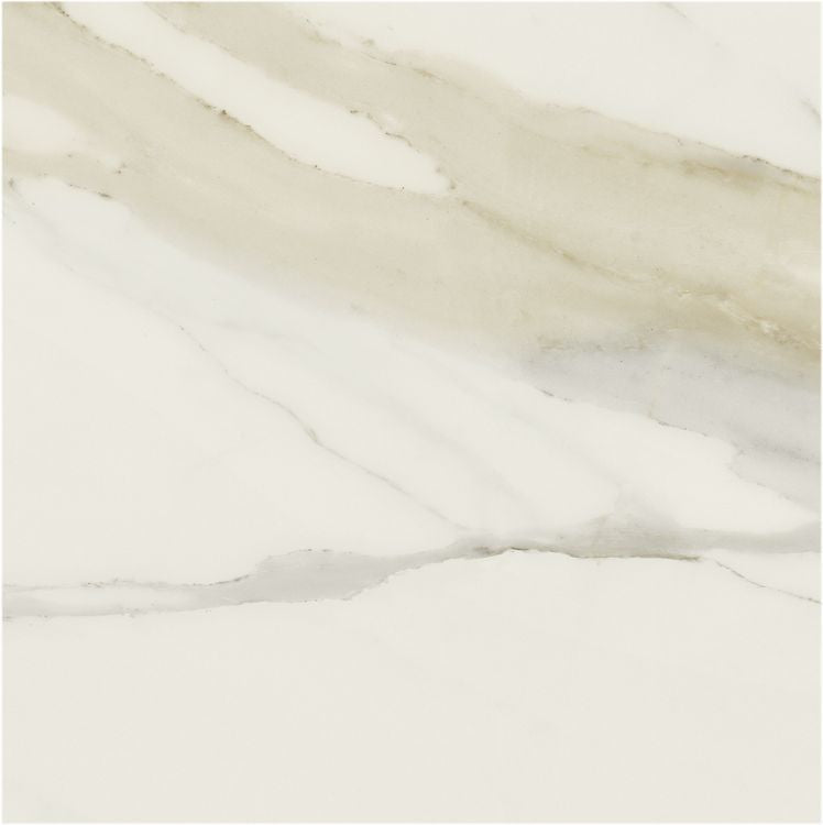 Classici Calacatta Gold Tile Matte 48 x 48