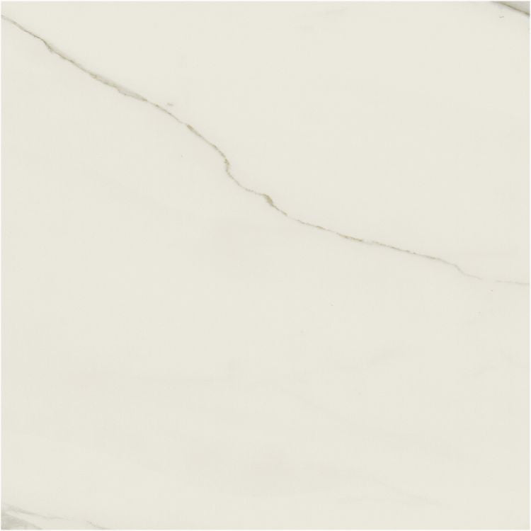Classici Calacatta Gold Matte 48 x 48