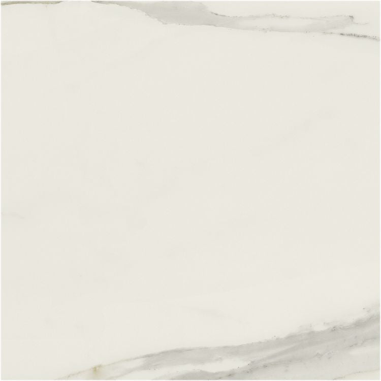 Classici Calacatta Gold Matte 48 x 48
