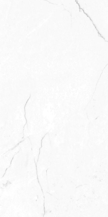 EC Elegance White Polished 12 x 24