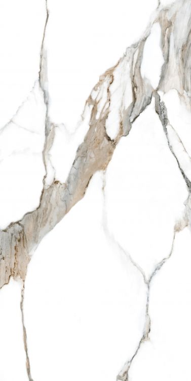 Calacatta Fantasy Topo Polished 24 x 48