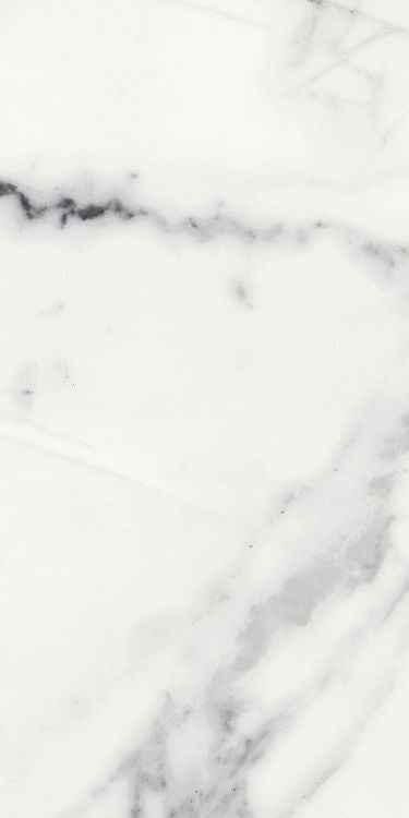 Origines Blanc Matte 12 x 24