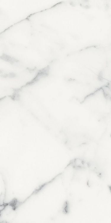 Origines Blanc Tile Matte 12 x 24