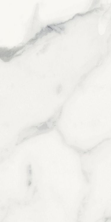 Origines Blanc Matte 12 x 24