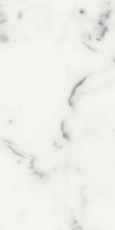 Origines Blanc Matte 12 x 24