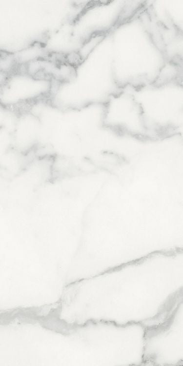 Origines Blanc Matte 12 x 24