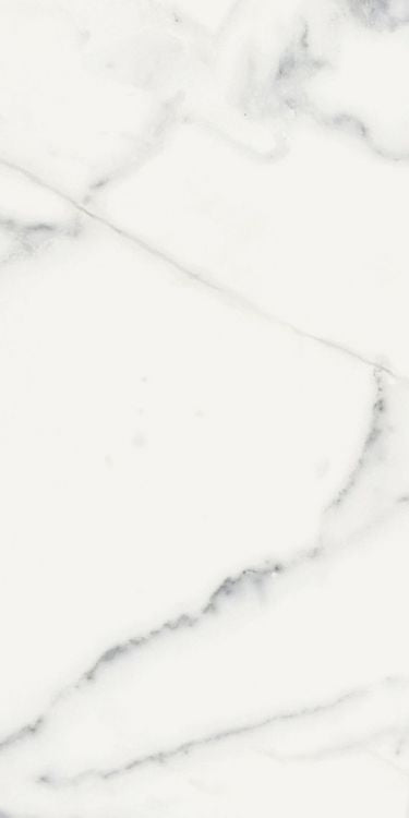Origines Blanc Matte 12 x 24