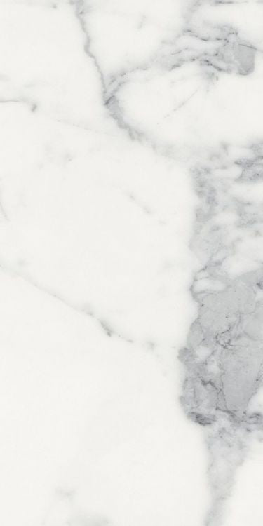 Origines Blanc Matte 12 x 24