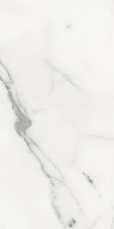 Origines Blanc Matte 12 x 24
