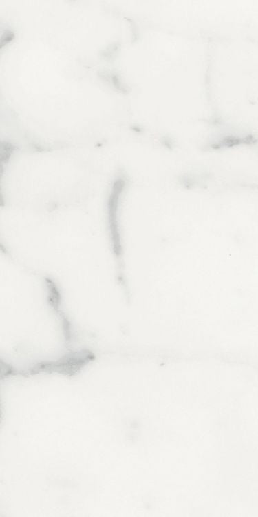 Origines Blanc Matte 12 x 24