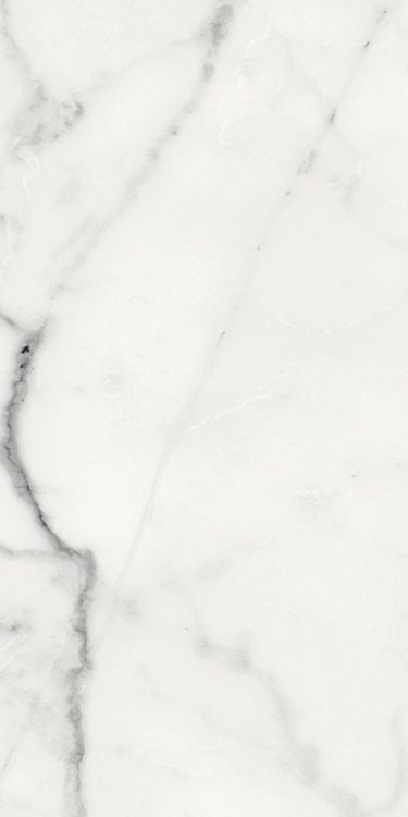 Origines Blanc Matte 12 x 24