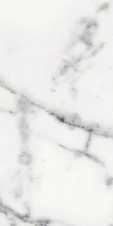 Origines Blanc Matte 12 x 24