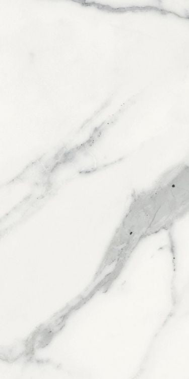 Origines Blanc Matte 12 x 24