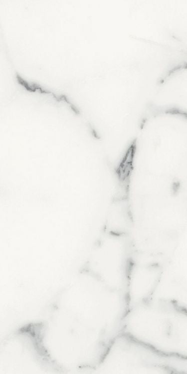 Origines Blanc Matte 12 x 24