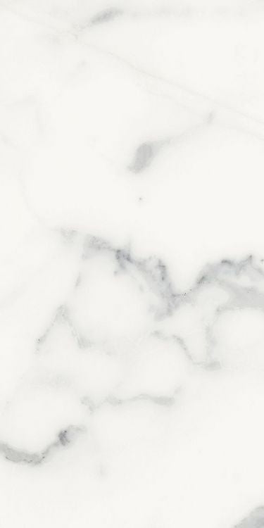 Origines Blanc Matte 12 x 24