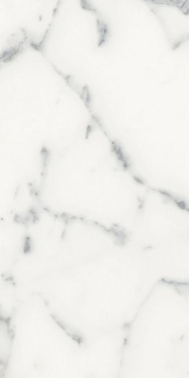 Origines Blanc Matte 12 x 24