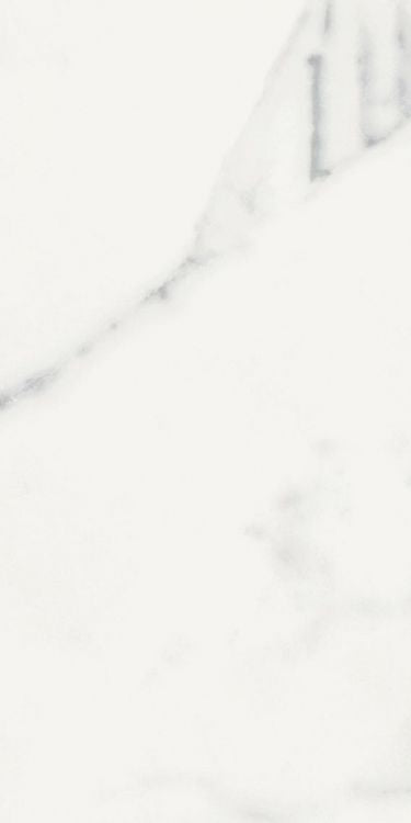 Origines Blanc Matte 12 x 24