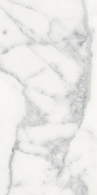 Origines Blanc Matte 12 x 24