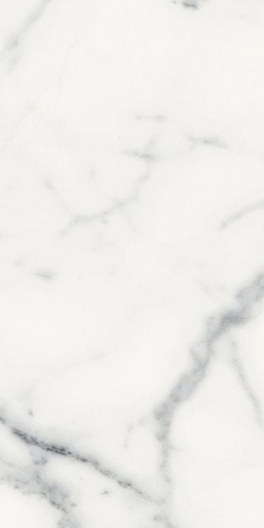 Origines Blanc Matte 12 x 24
