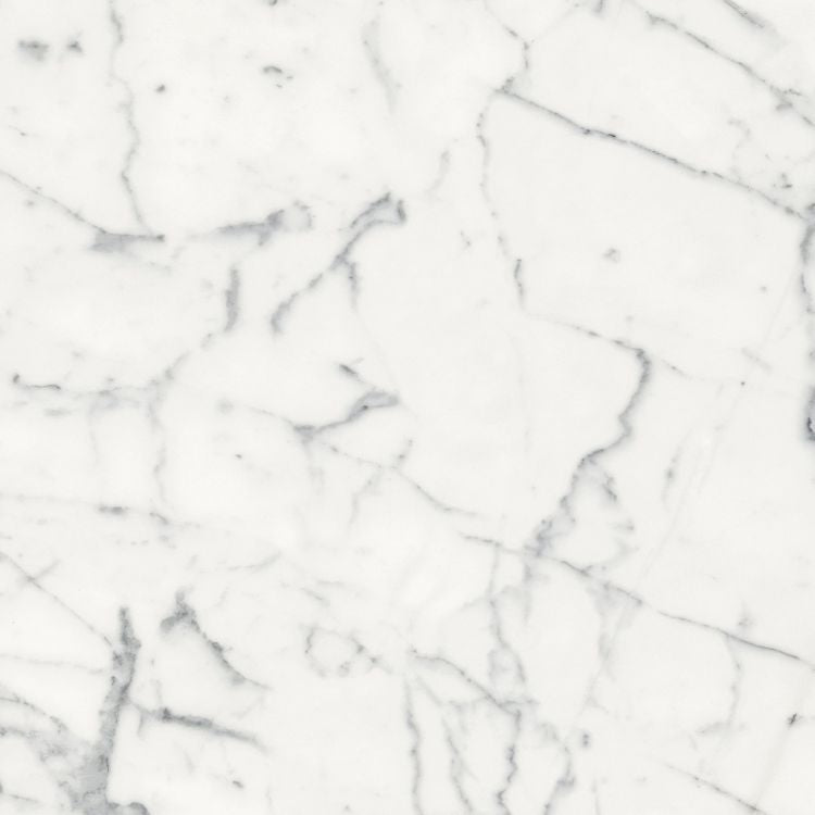 Origines Blanc Matte 24 x 24