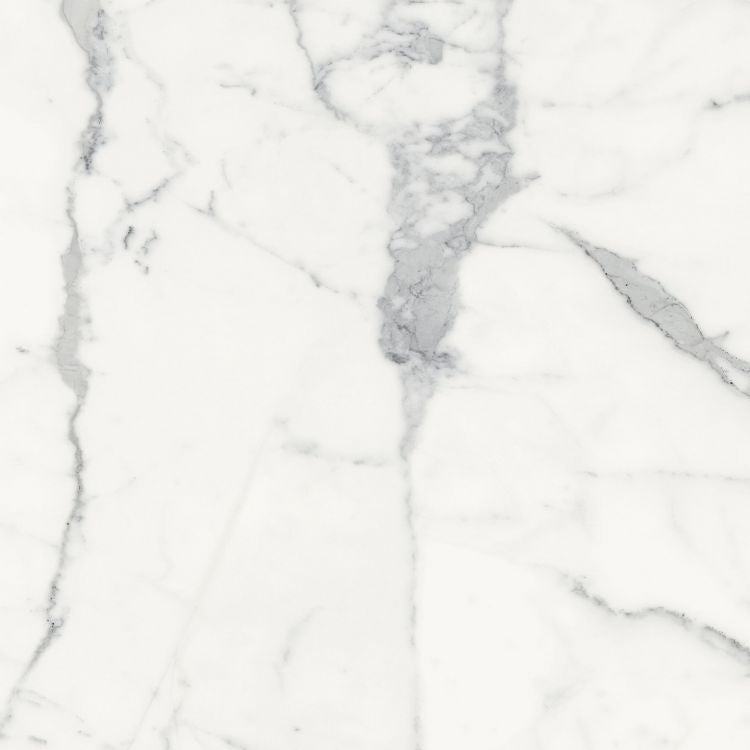 Origines Blanc Matte 24 x 24