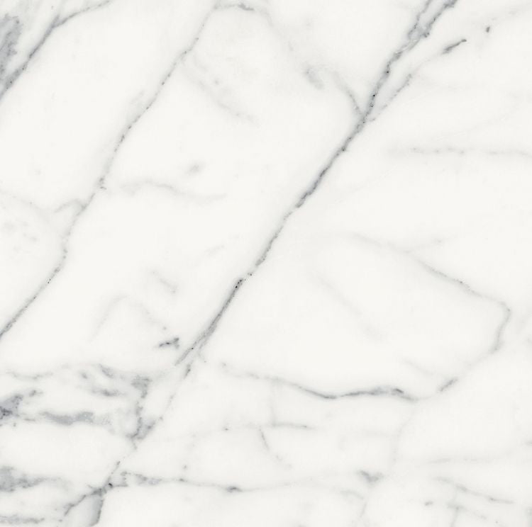 Origines Blanc Matte 24 x 24