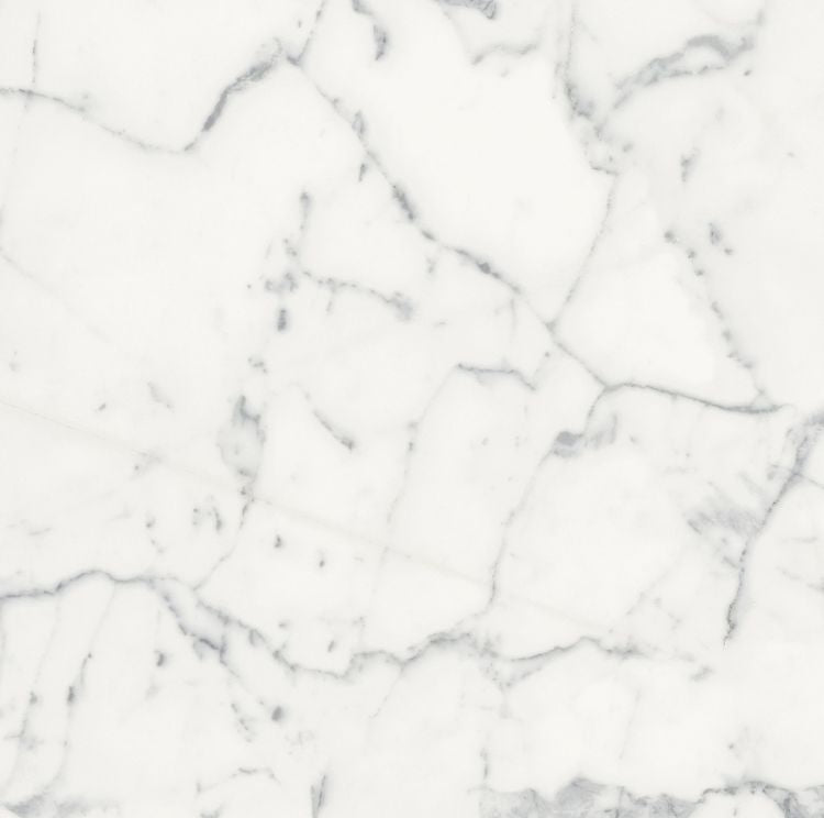 Origines Blanc Matte 24 x 24