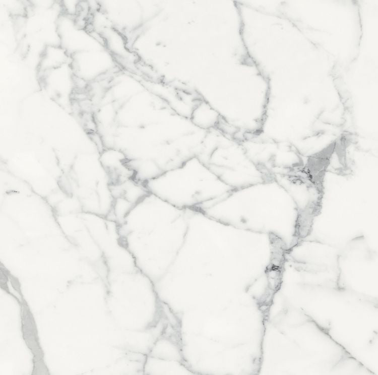 Origines Blanc Matte 24 x 24