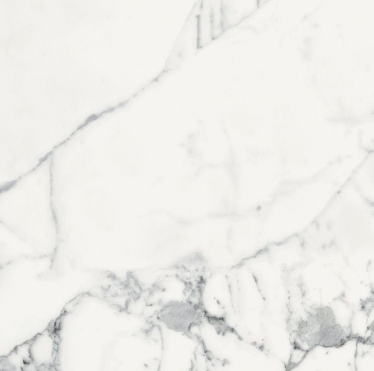 Origines Blanc Matte 24 x 24