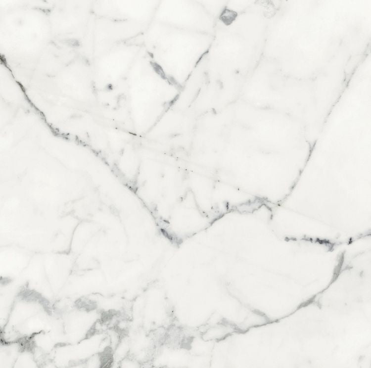 Origines Blanc Matte 24 x 24