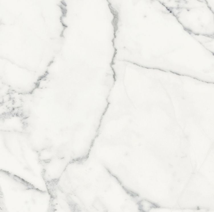 Origines Blanc Matte 24 x 24