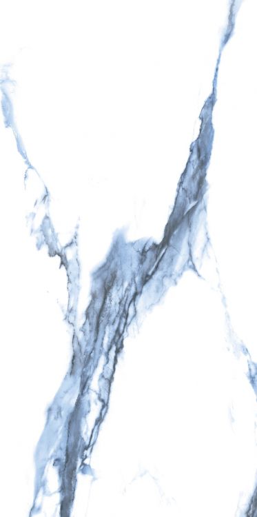 Calacatta Blue Polished 12 x 24