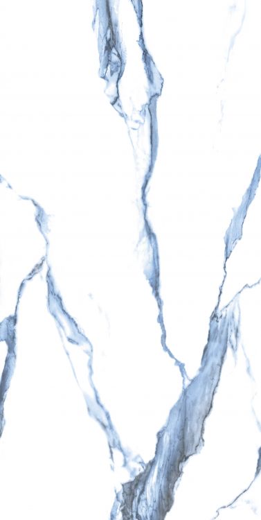 Calacatta Blue Tile 24 x 48