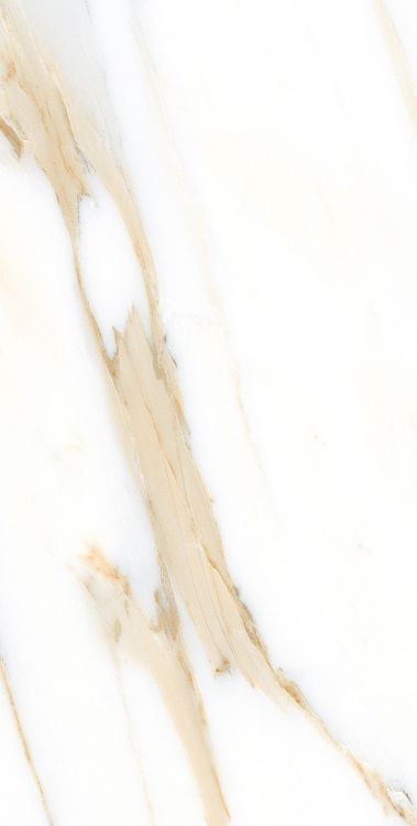 AGL Calacatta Gold Tile Polished 12 x 24