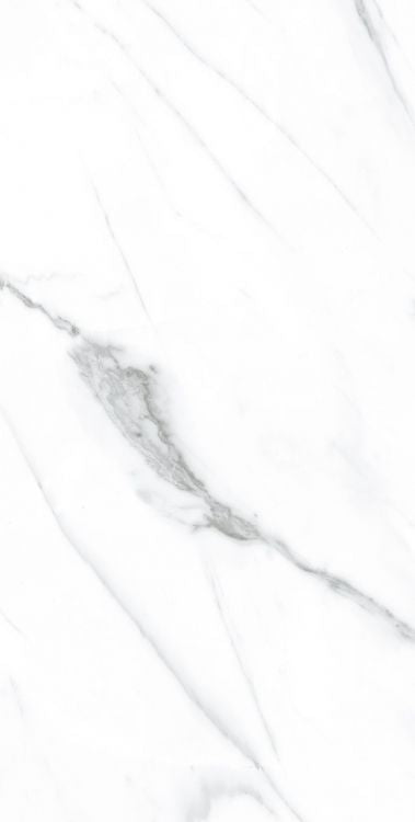 AGL Carrara Matte 12 x 24