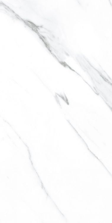 AGL Carrara Matte 12 x 24