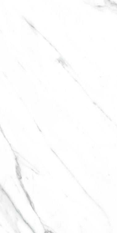 AGL Carrara Matte 12 x 24