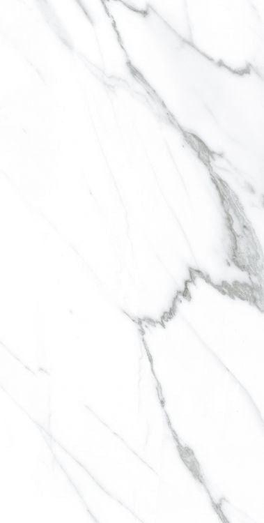 AGL Carrara Matte 12 x 24