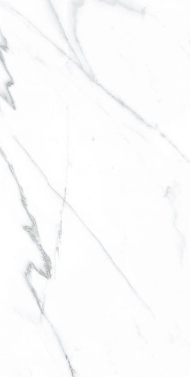 AGL Carrara Matte 12 x 24