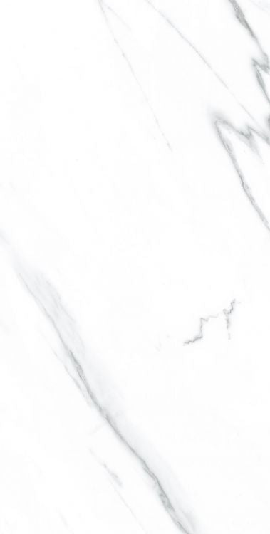 AGL Carrara Matte 12 x 24