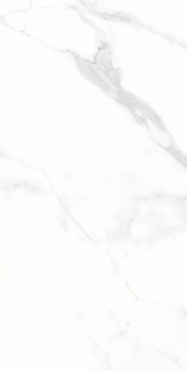 AGL Statuario Matte 12 x 24