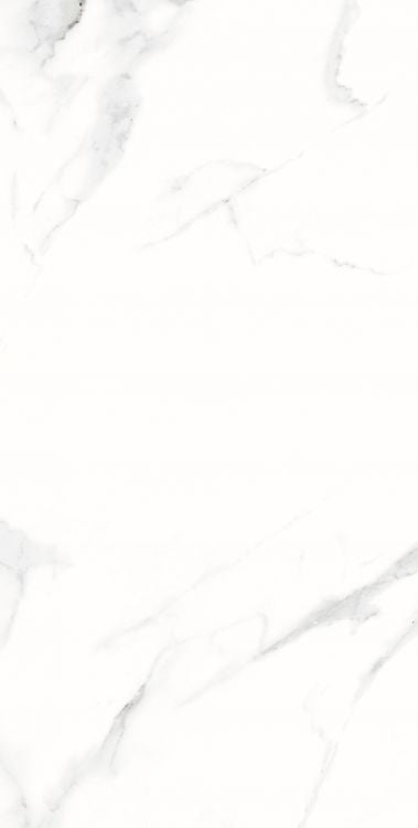 AGL Statuario Matte 12 x 24