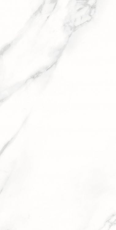 AGL Statuario Matte 12 x 24