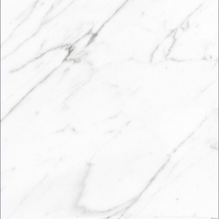 AGL Carrara Matte 24 x 24