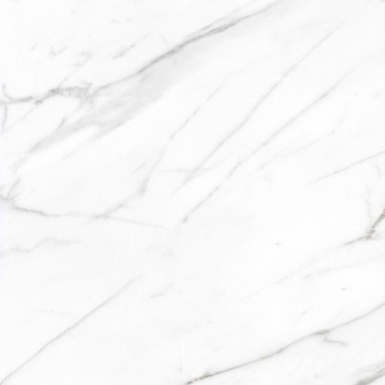 AGL Carrara Matte 24 x 24