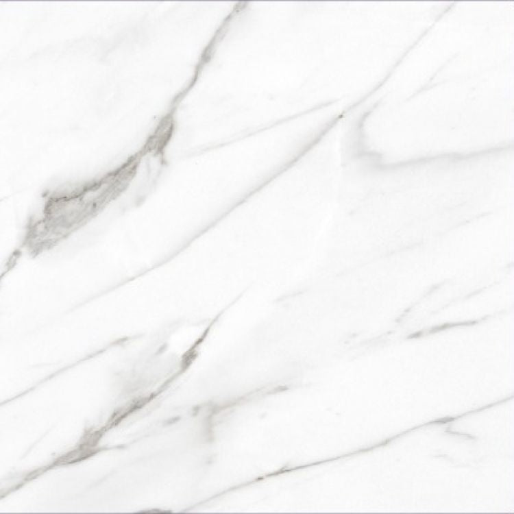 AGL Carrara Matte 24 x 24